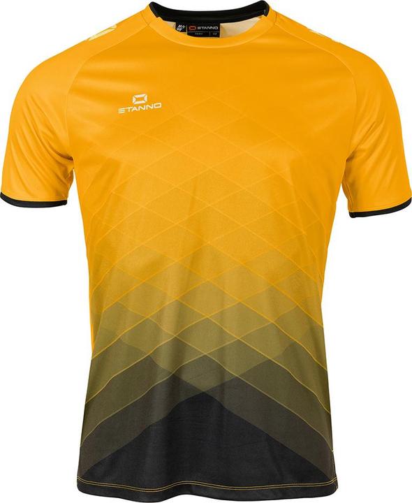 Image du produit Stanno Maillot Altius (176)