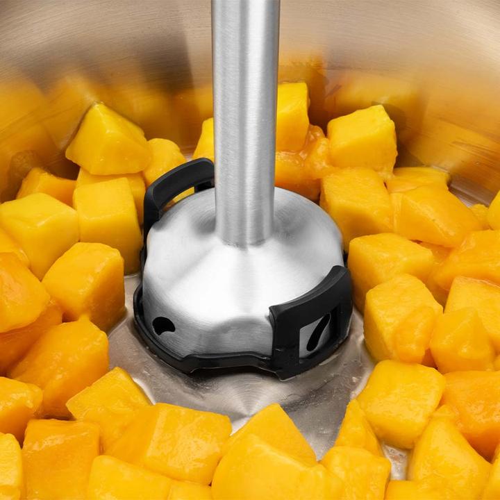 Actual product image Gastroback 40982 Kabelloser Design Stabmixer Set 5-in-1