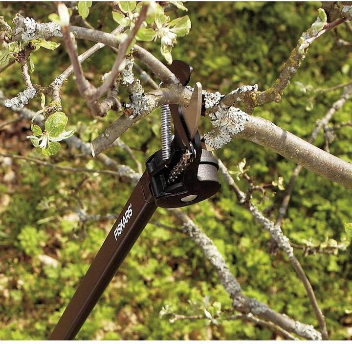 Actual product image Fiskars Cutting giraffe UP84