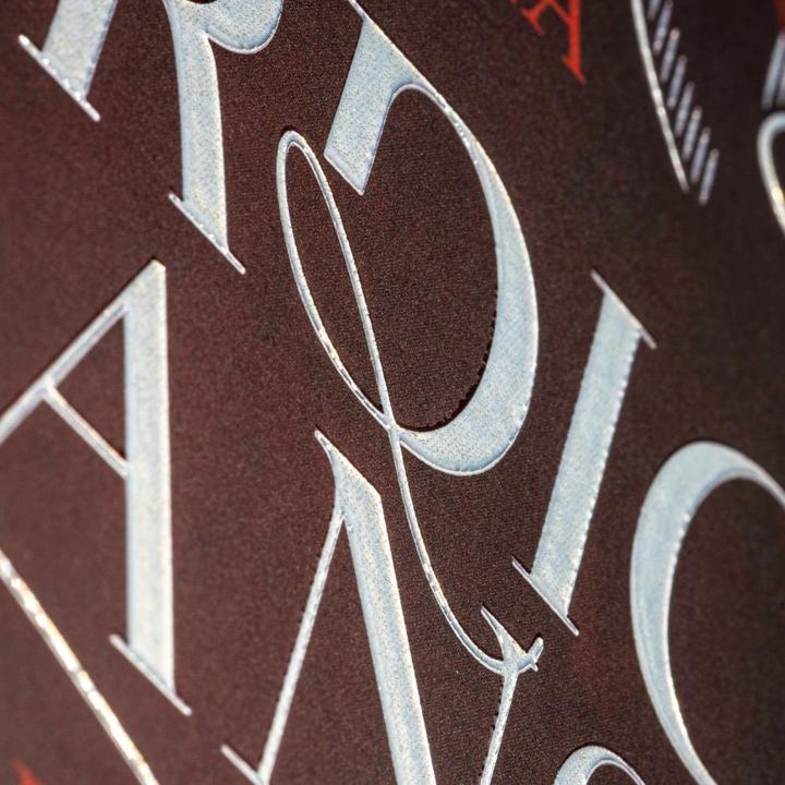 Image du produit Nordic Clans 1: Mein Herz, so verloren und stolz (Allemand, Asuka Lionera, 2024)