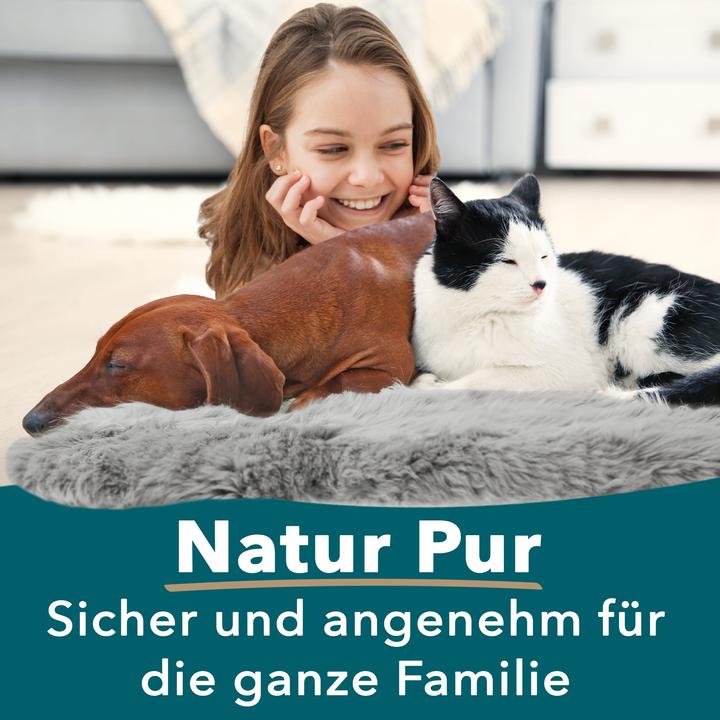 Produktbild Karat Audrey