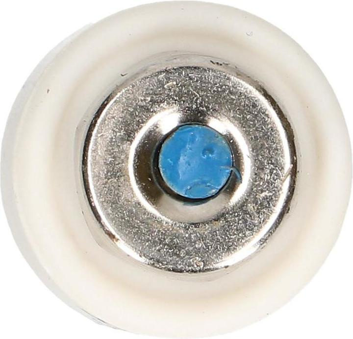 Actual product image Max Hauri Fuse 20A slow-blow 500V DT-II 5pcs. (20 A)