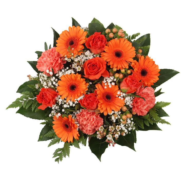 Produktbild Floramall Miracle (Schnittblumen)
