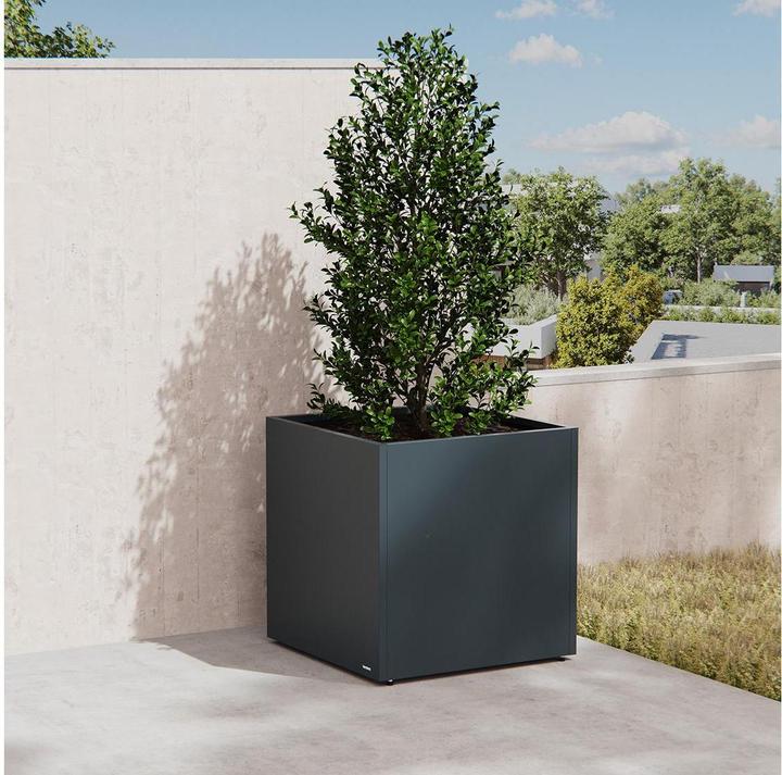 Produktbild Herstera Planter Cube (50 x 50 x 50 cm)