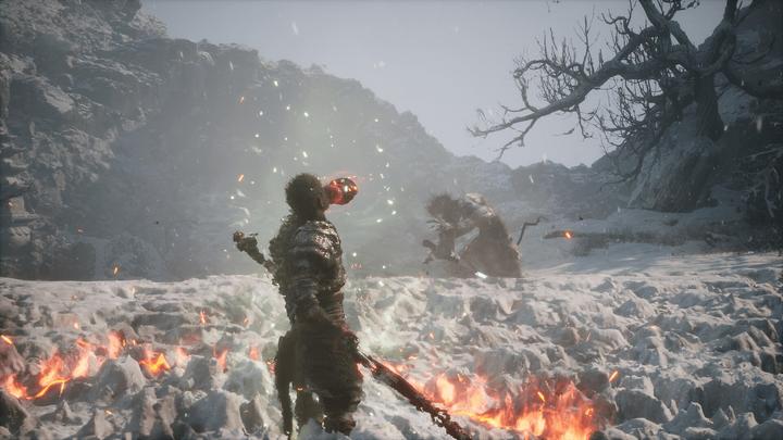 Productafbeelding 2K Games Black Myth: Wukong (PS5, EN)