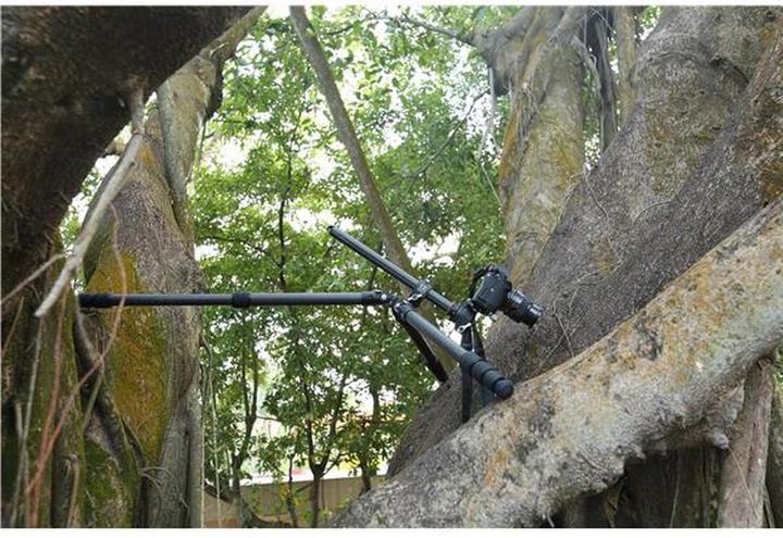 Image du produit Leofoto Ranger LS-284CVL (Carbone, Métal)