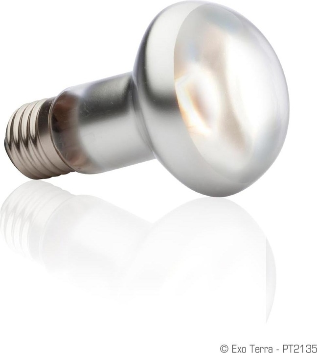 Image du produit Exo Terra Sun Glo Heat Spot Lamp TB 50W (UVA)
