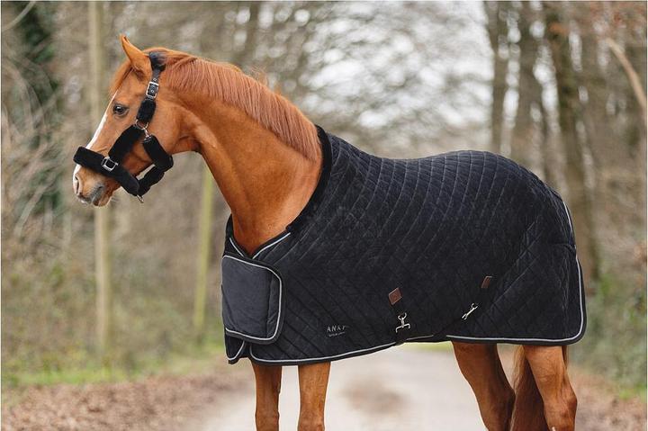 Produktbild Anky VictoryATB24006