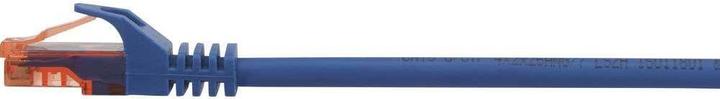 Image du produit Renkforce RF-5043878 Câble réseau RJ45, câble patch CAT 6 U/UTP 25.00 cm Bleu mi (U/UTP, CAT6, 0.25 m)