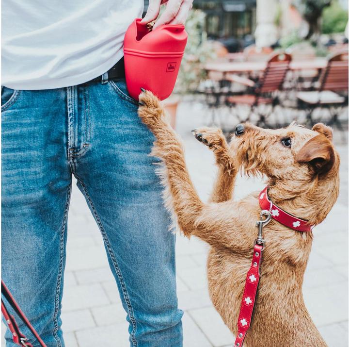 Actual product image Hunter Swiss (Dog, Walks)