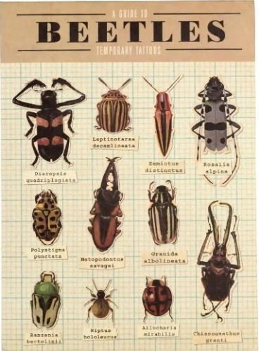 Actual product image Rex London Temporary Tattoos Beetles