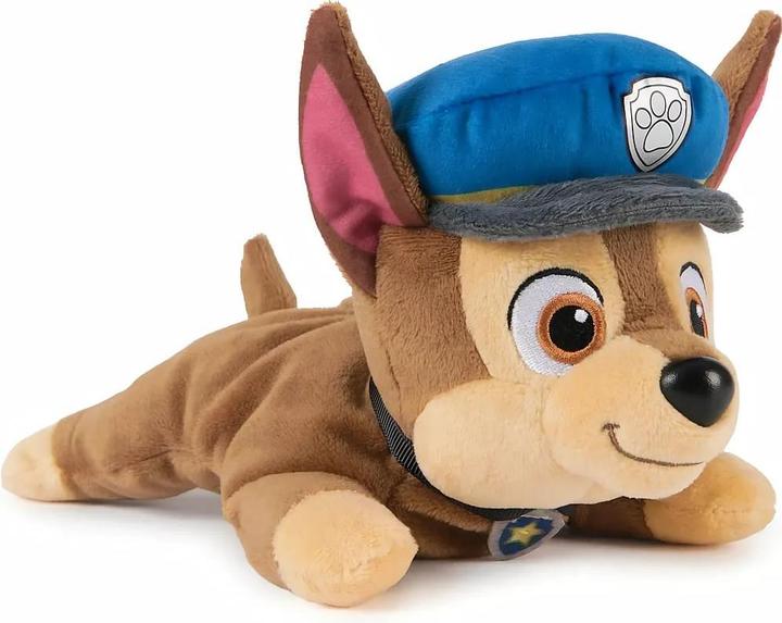 Spin Master Chase