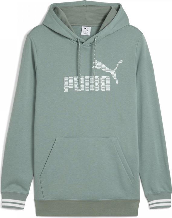 Image du produit Puma UNITED Sweat à capuche TR (M)
