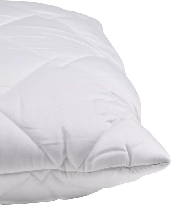 Image du produit Globus Coussin DENVER (60 x 90 cm)