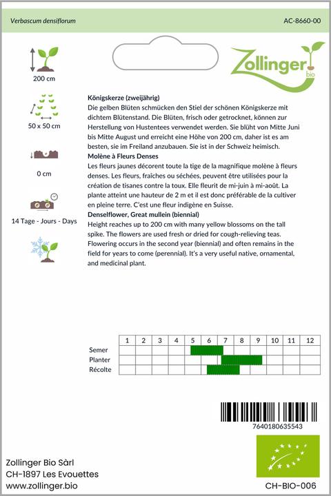 Immagine prodotto Zollinger Bio Verbasco (biennale)