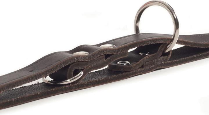 Actual product image Beeztees Dog leash (Dog, Dog sport)