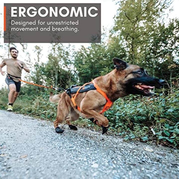 Image du produit Non-Stop Dogwear Harnais Freemotion 5.0 (5, S, Chien)