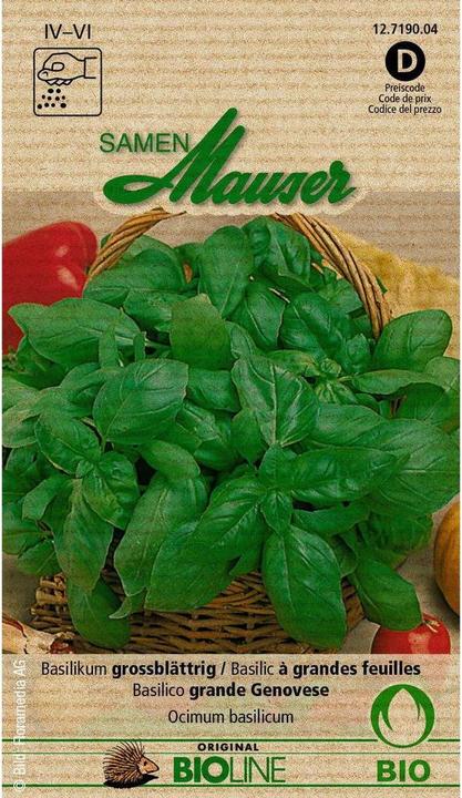 Actual product image Samen Mauser Bud organic basil large-leaved (Herb seeds)