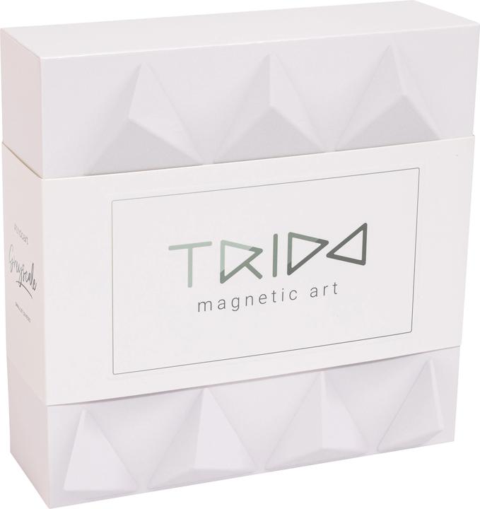 Produktbild Hape Trido Greyscale small 12pcs