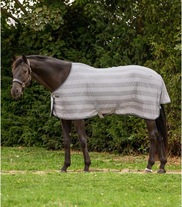 Produktbild Waldhausen Fliegendecke Economic Kreuzbegurtung für Pferde Grau 85 cm (85 cm)