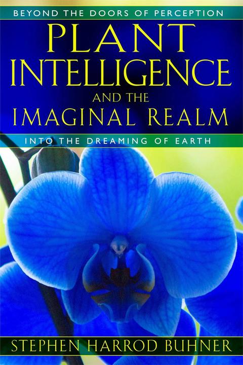 Produktbild PocketBook Plant Intelligence and the Imaginal Realm (Englisch, Stephen Harrod Buhner, 2014)