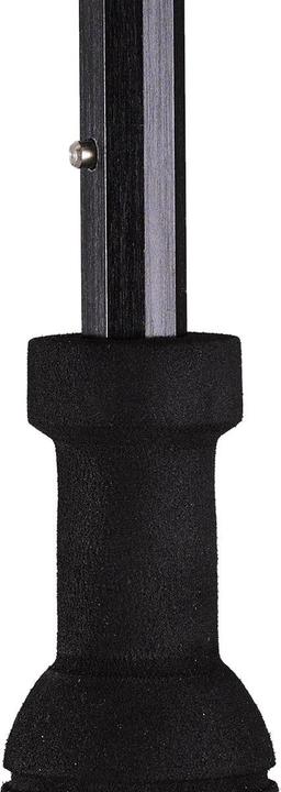 Produktbild Euroschirm birdiepal octagon