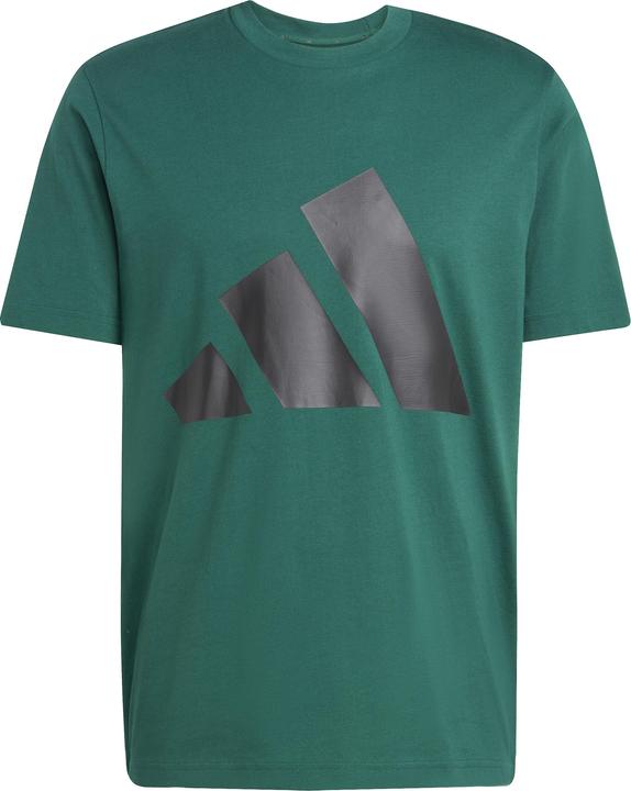 Actual product image adidas Essentials Big Logo (L)