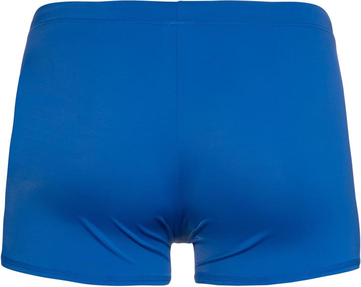 Image du produit MGA Des hommes en maillot de bain protestent contre Carst Swimtrunk (XL)
