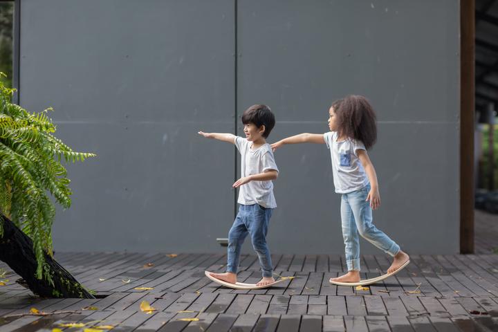 Actual product image Plantoys Balancing board