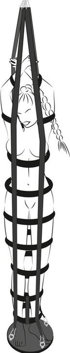 Actual product image Bad Kitty Strap Cage