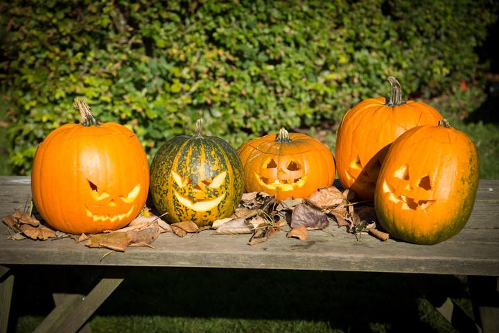 Produktbild Creativ Company Werkzeug Kürbisschnitzen (5 Stück)