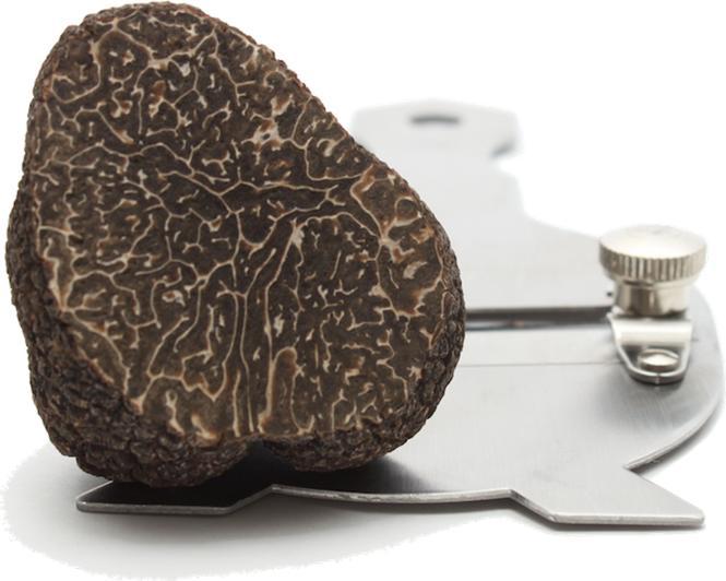 Actual product image Schwarz Kitchen Chrome steel truffle cutter