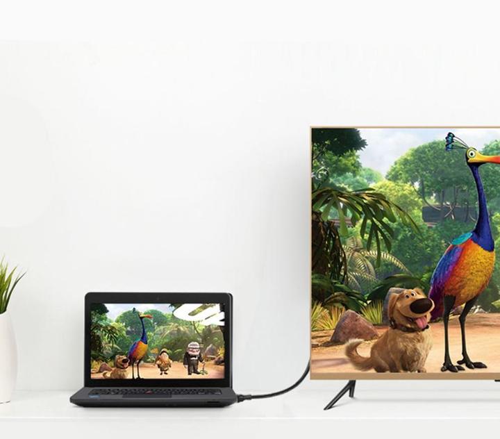 Image du produit Ugreen Mini Display — DisplayPort (1.50 m)