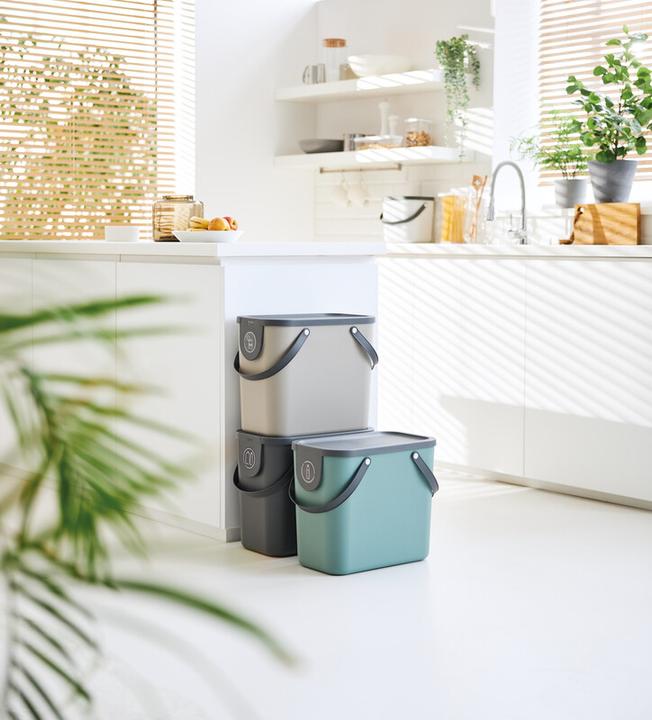 Actual product image Rotho Albula (25 l)