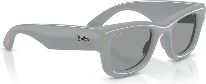 Actual product image Ray Ban Wayfarer buffer