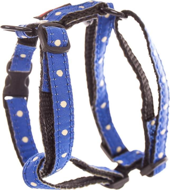 Produktbild Image Reg Beach (Hund, Spazieren)