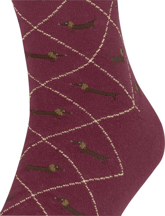 Produktbild Burlington Dachshund (Einzelpack, 40 - 46)