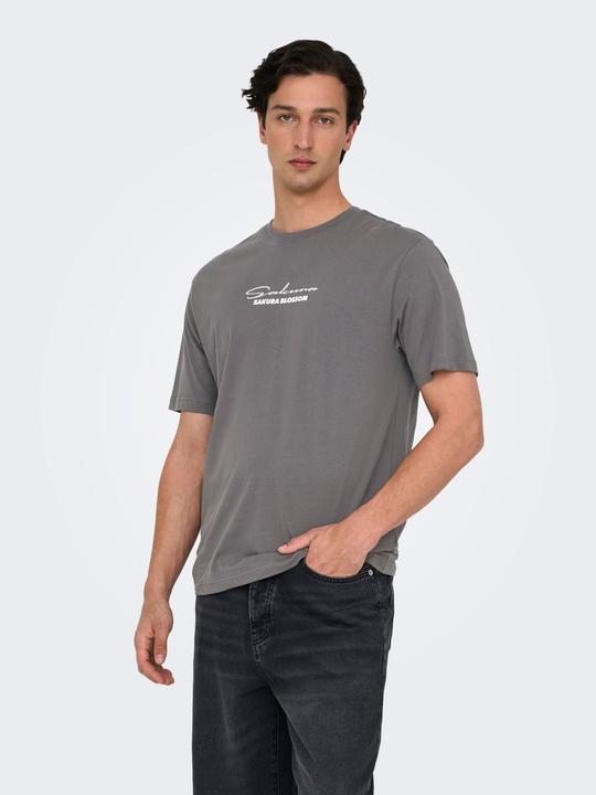 Produktbild Only & Sons Onskeane Rlx Ss Print Tee Noos (S)