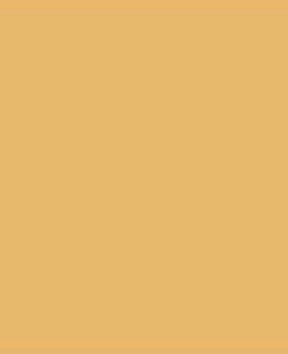 Immagine prodotto Magni Triton Acrylic Marker Edge oro chiaro (Oro, Bianco, 4 mm, 1 x)