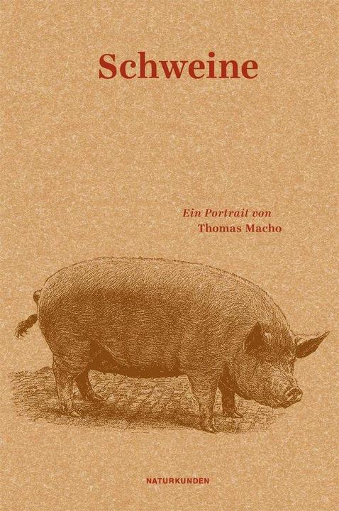 Produktbild Schweine (Deutsch, Thomas Macho, 2015)