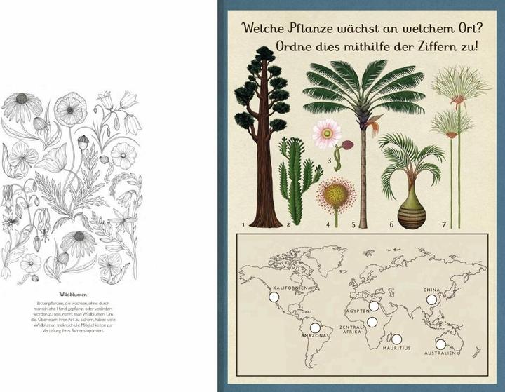 Produktbild Das Museum der Pflanzen. Mein Mitmachbuch (Deutsch, Kathy Willis, Katie Scott, 2017)