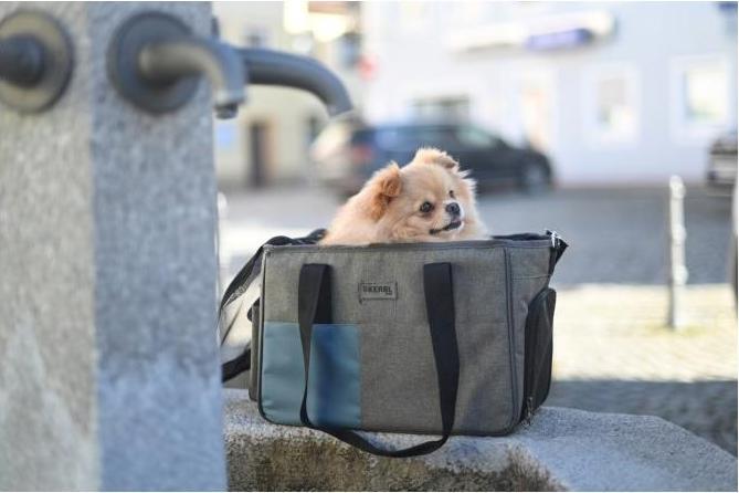 Productafbeelding Kerbl Draagtas vakantie (Hond, Reflectoren, Wasbaar)