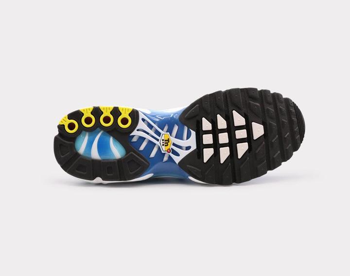 Image du produit Nike Air Max Plus (47.5)