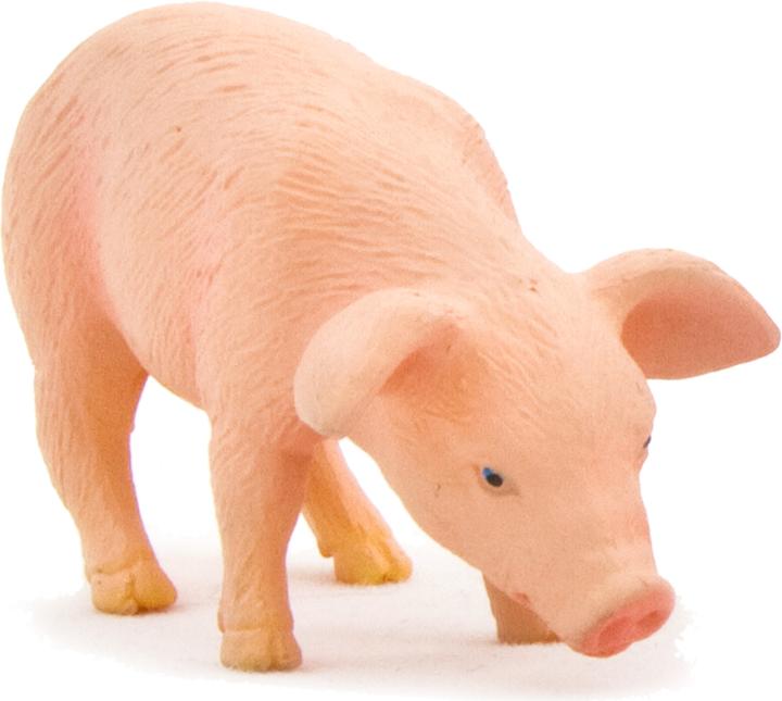 Immagine prodotto Animal Planet Porcellino che mangia