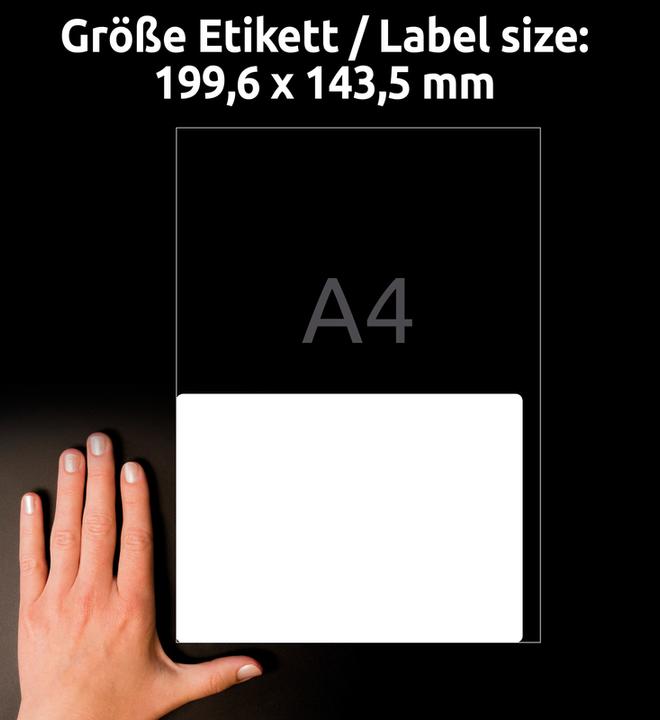 Actual product image Avery Versandet labels 199,6x143,5mm L7168-100 weiss 200 Stk./100 Blatt
