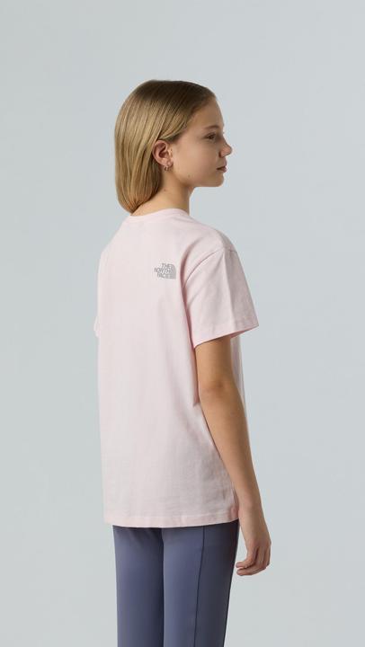 Actual product image North Face Reflective Logo Relaxed (146)