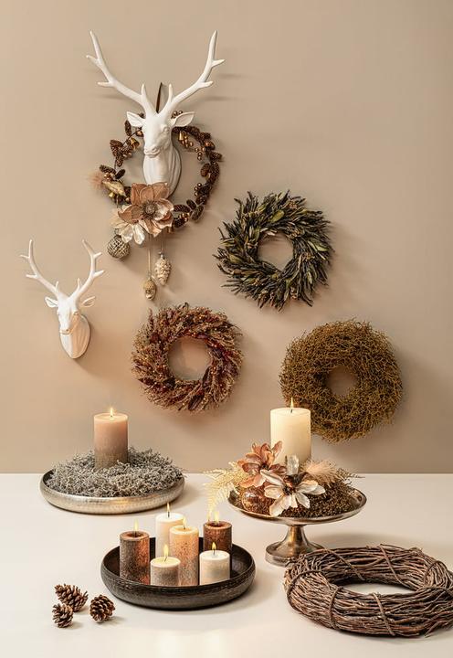 Image du produit pfister Foresta