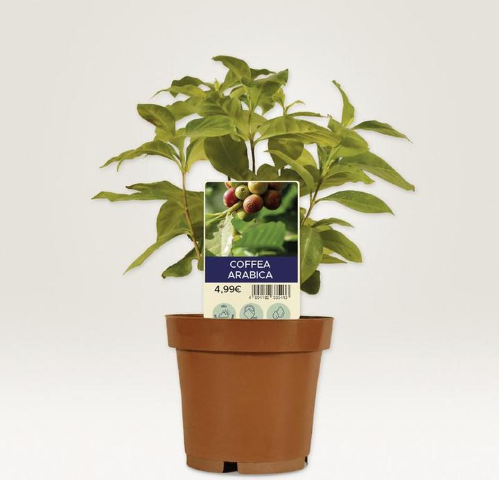 Productafbeelding Avery Insteekborden