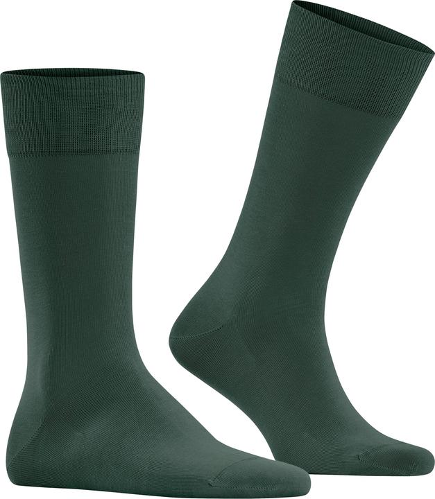7441 verde cacciatore