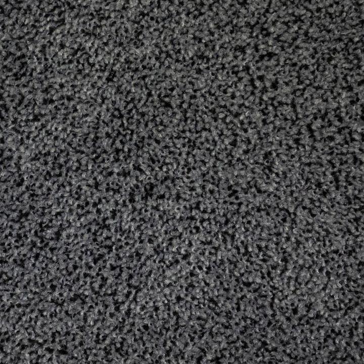 Produktbild Fussmatte Cosmos anthrazit 40,0 x 60,0 cm (40 x 60 cm)